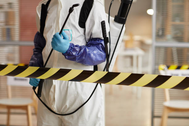 Professional Sewage Cleanup technician working in Freeman, SD